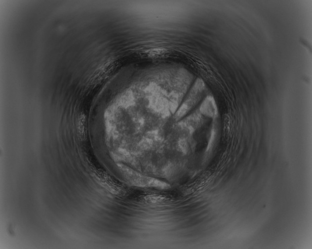 X0000096940650200802291034