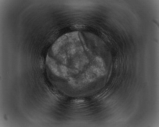 X0000096940651200802291034