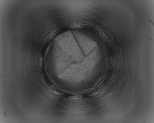 X0000096940652200802291034