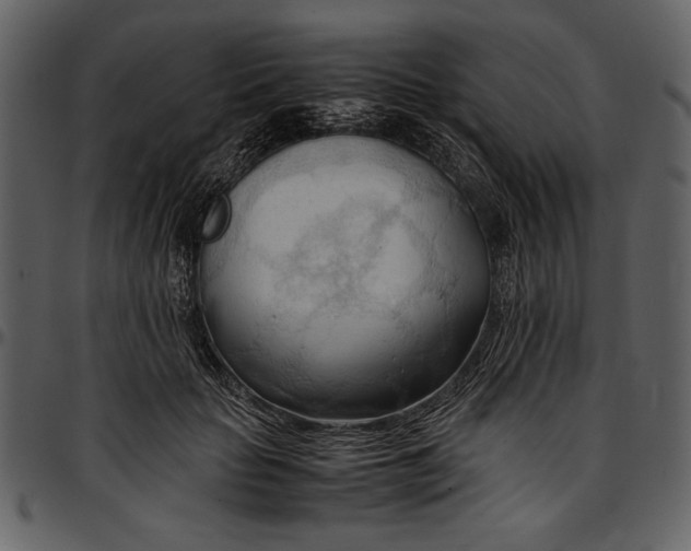 X0000096940653200802291034