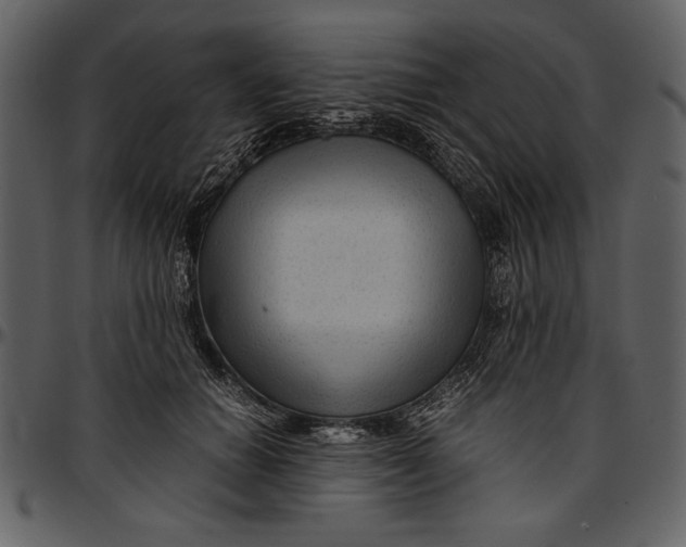 X0000096940654200802291034