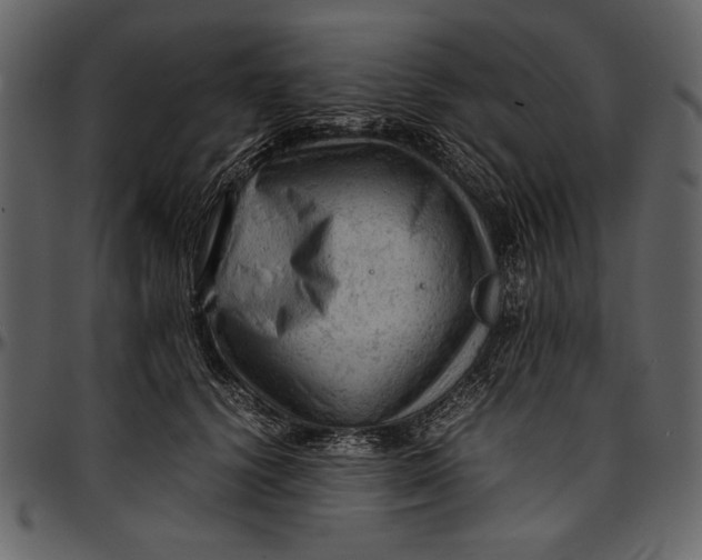 X0000096940656200802291034