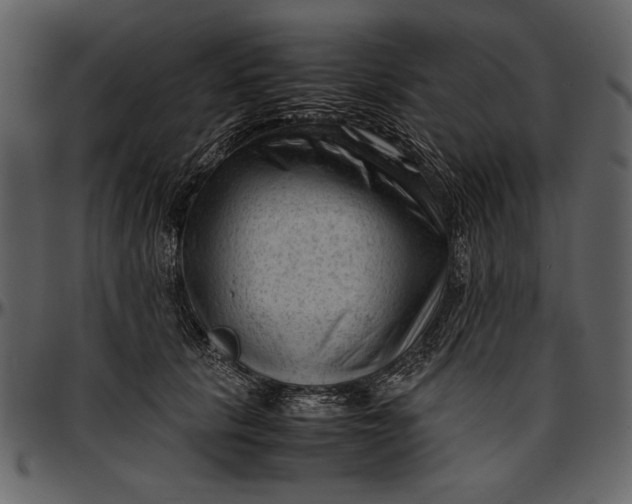 X0000096940657200802291034