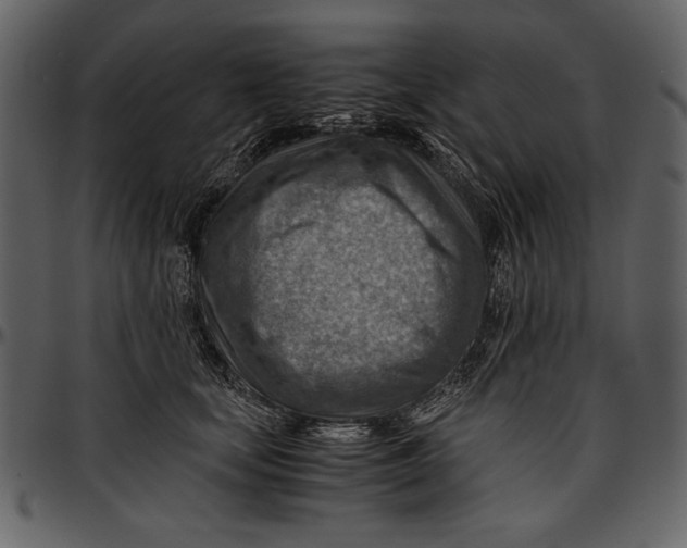 X0000096940659200802291034