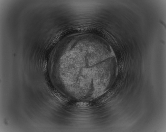 X0000096940660200802291034