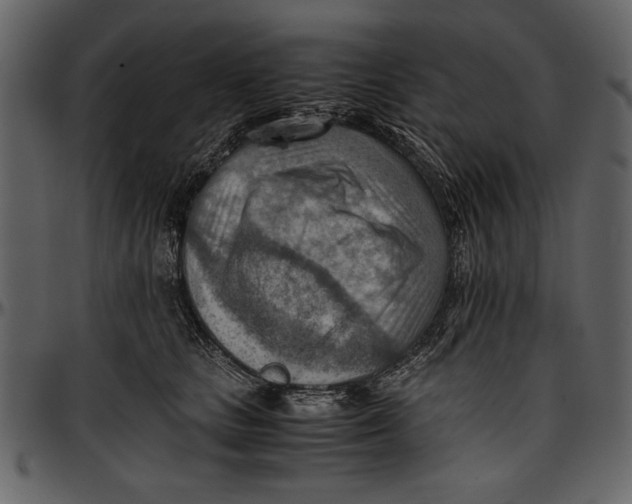 X0000096940661200802291034