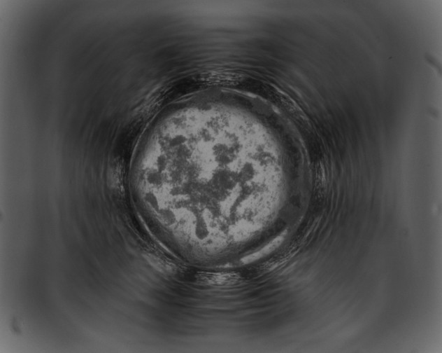 X0000096940663200802291034