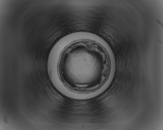 X0000096940665200802291034