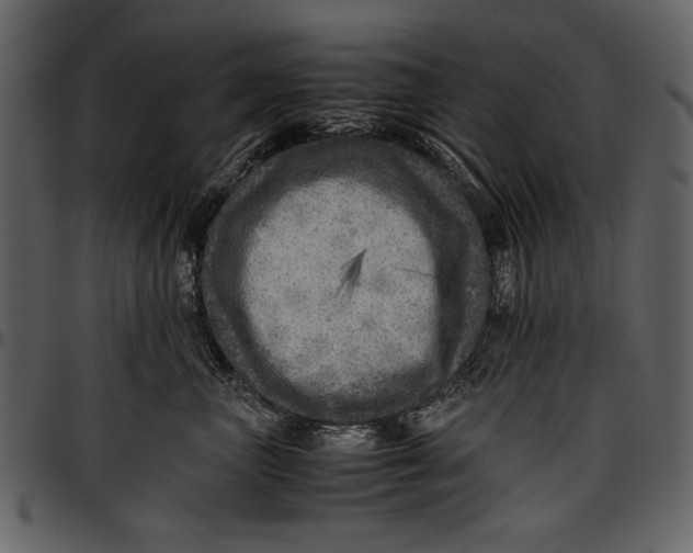 X0000096940667200802291034