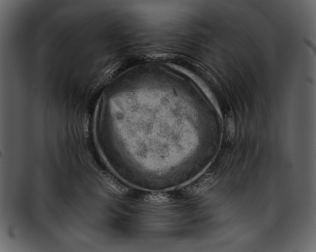 X0000096940668200802291034