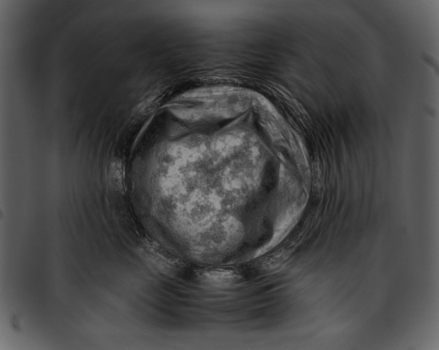 X0000096940669200802291034