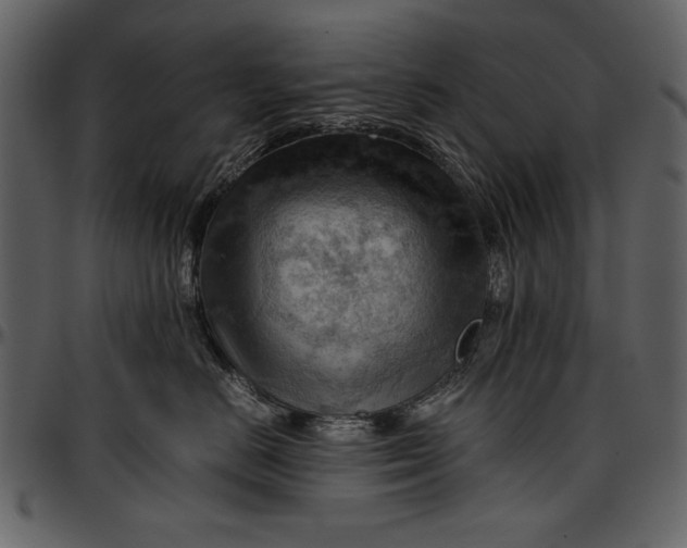 X0000096940670200802291034