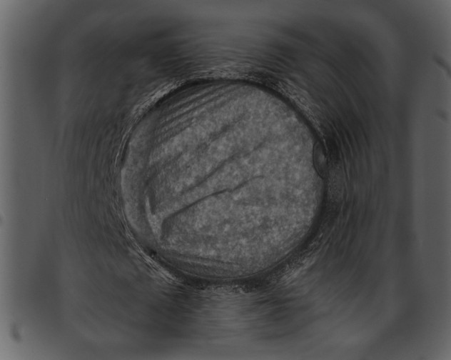 X0000096940673200802291033