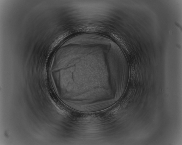 X0000096940674200802291033