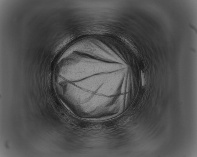 X0000096940675200802291033