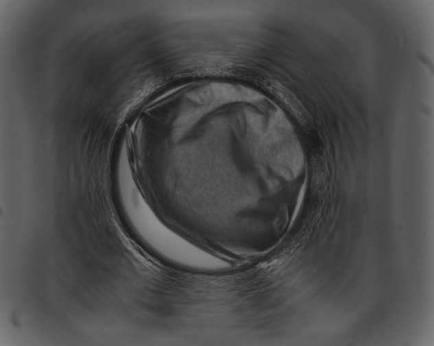 X0000096940677200802291033