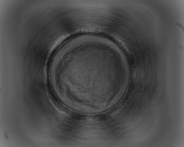 X0000096940678200802291033