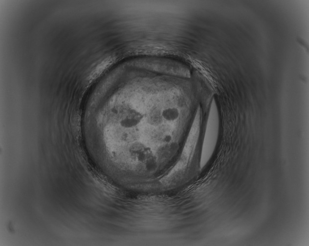 X0000096940679200802291033