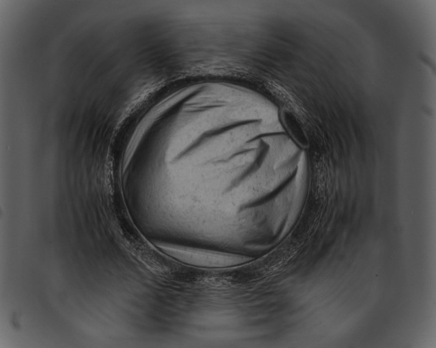 X0000096940680200802291033