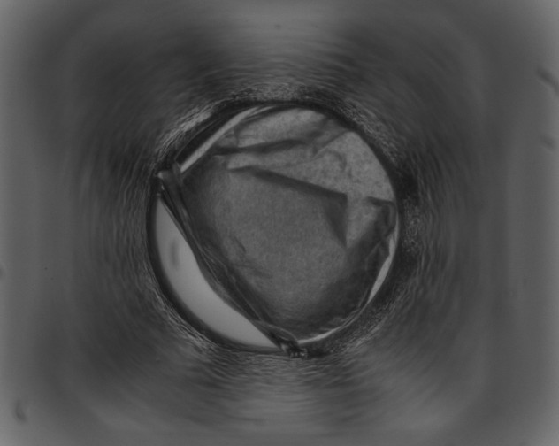 X0000096940681200802291033