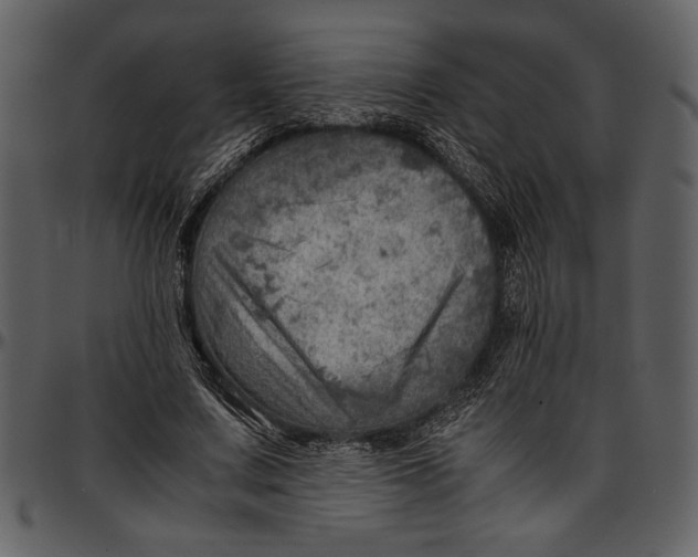 X0000096940683200802291033