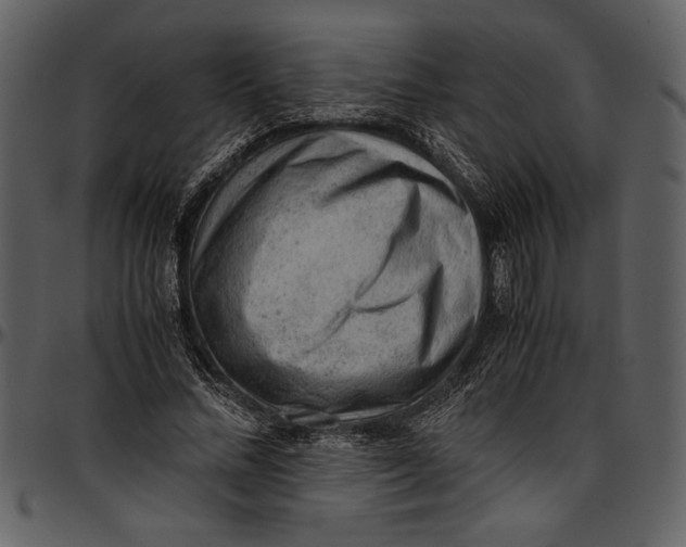 X0000096940684200802291033