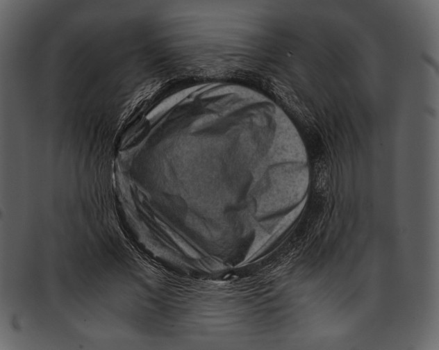 X0000096940685200802291033