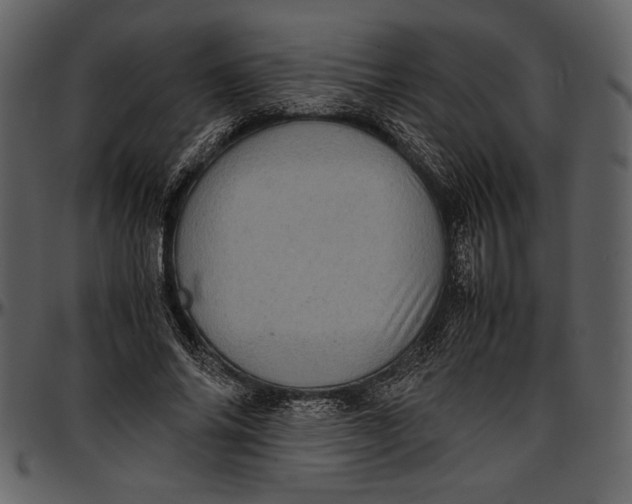 X0000096940686200802291033