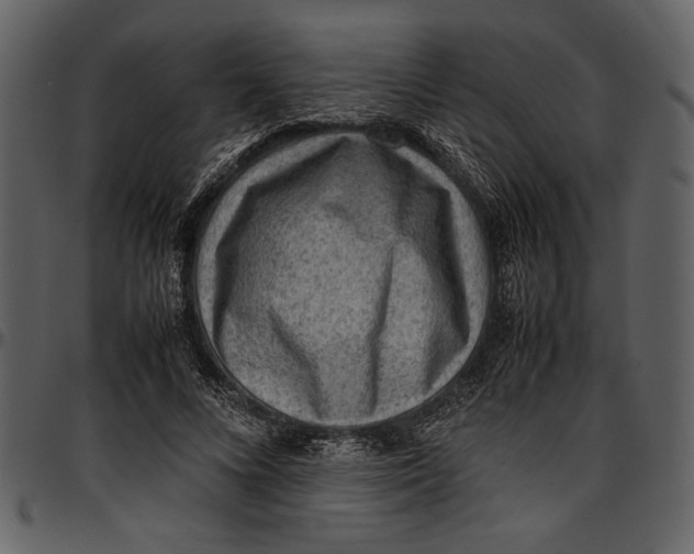 X0000096940688200802291033