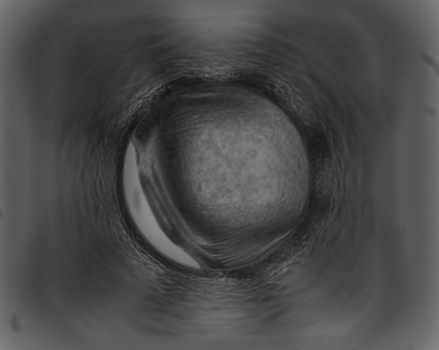 X0000096940689200802291033