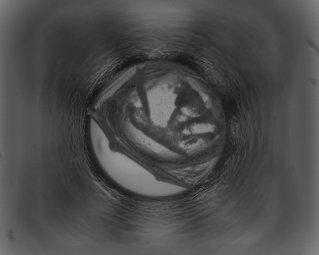 X0000096940691200802291033