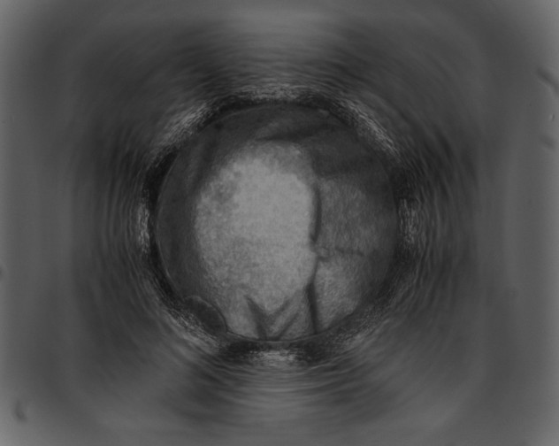 X0000096940692200802291033