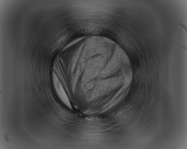 X0000096940693200802291033