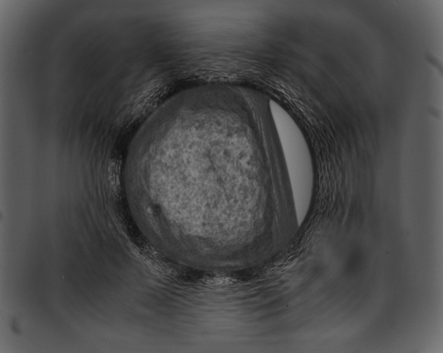 X0000096940695200802291033