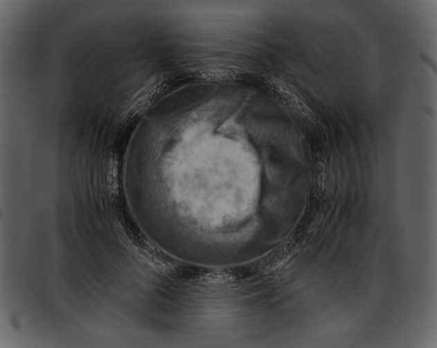 X0000096940696200802291033