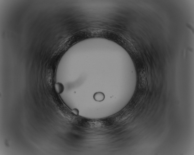 X0000096940698200802291033