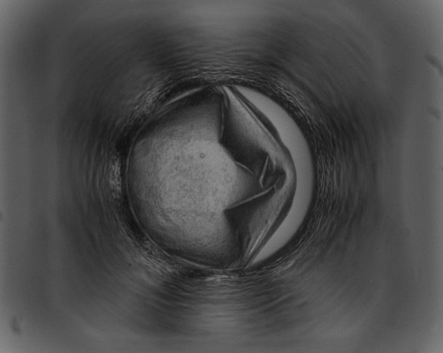 X0000096940700200802291033