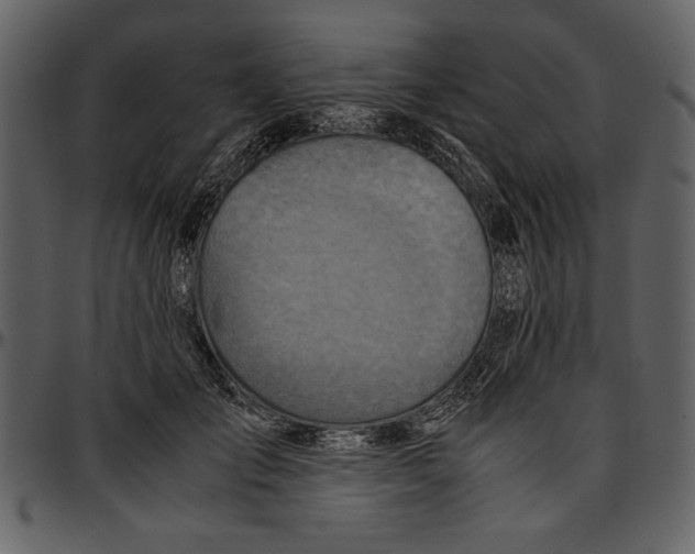 X0000096940701200802291033