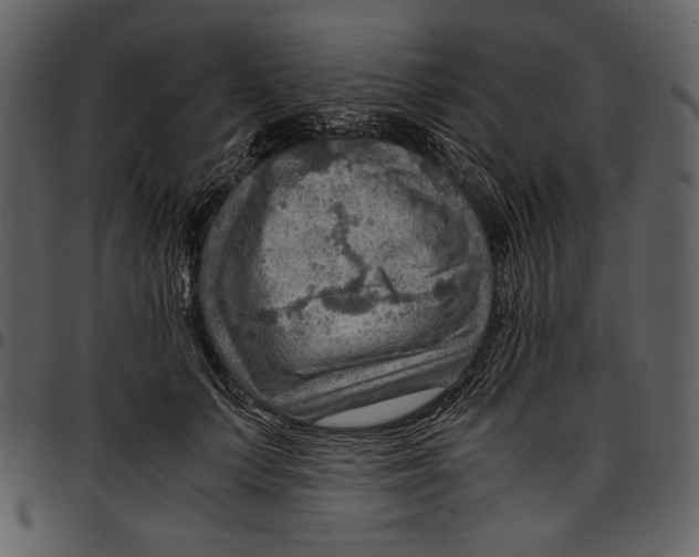 X0000096940703200802291033