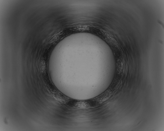 X0000096940704200802291033