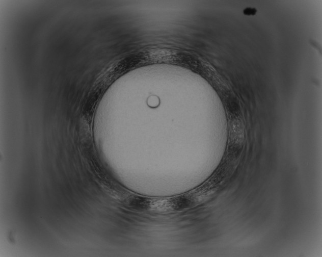 X0000096940705200802291033