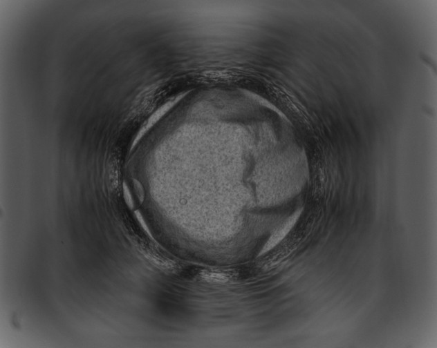 X0000096940706200802291033