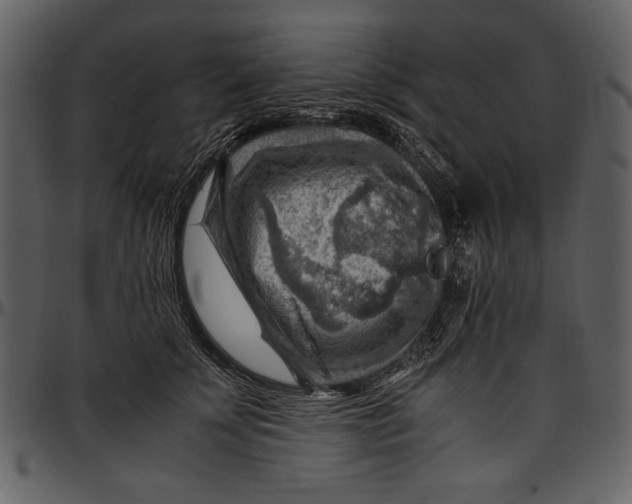 X0000096940707200802291033