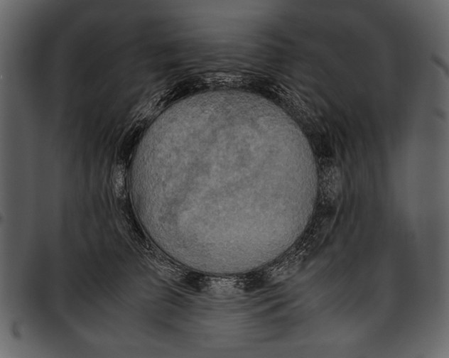 X0000096940709200802291033