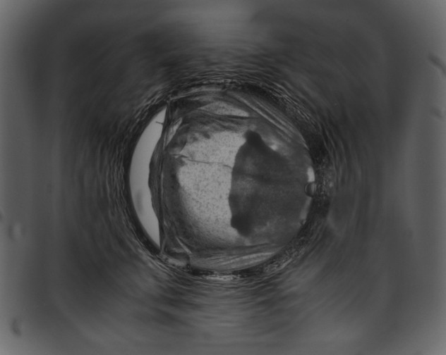 X0000096940711200802291033