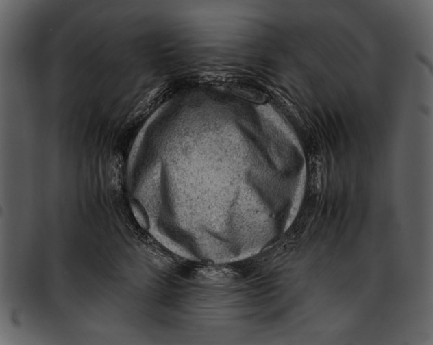 X0000096940712200802291033