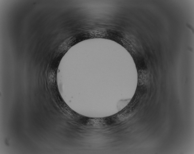 X0000096940713200802291033