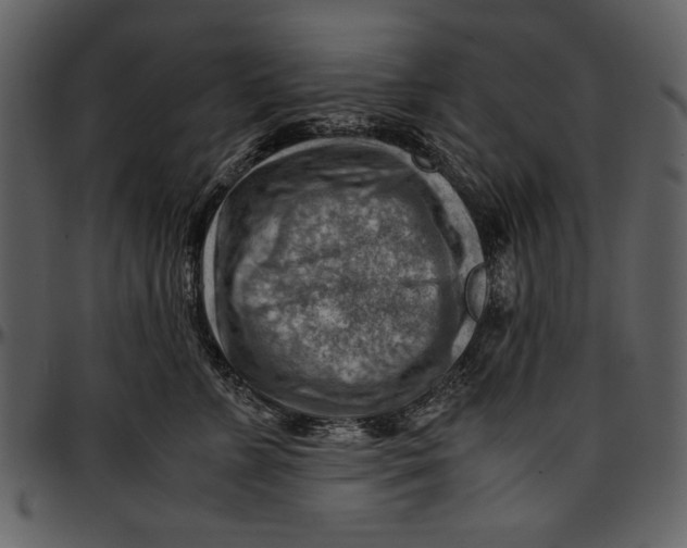 X0000096940715200802291033