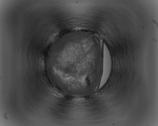 X0000096940716200802291033