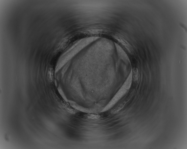 X0000096940718200802291033